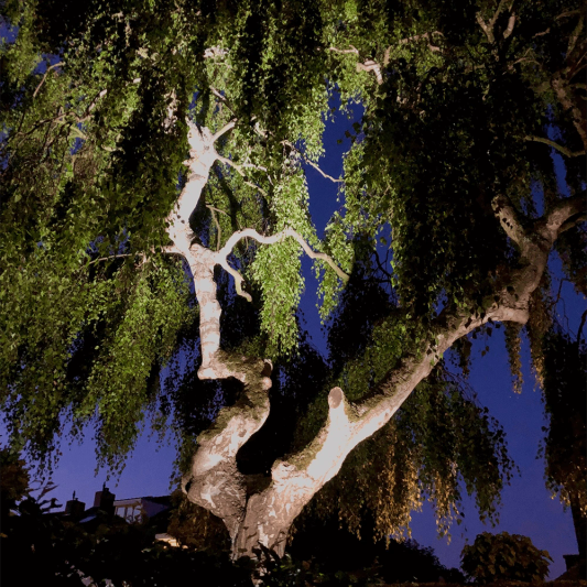 1-4 RGBWW WLAN LED Gartenstrahler Set 6 Watt mit Fernbedienung