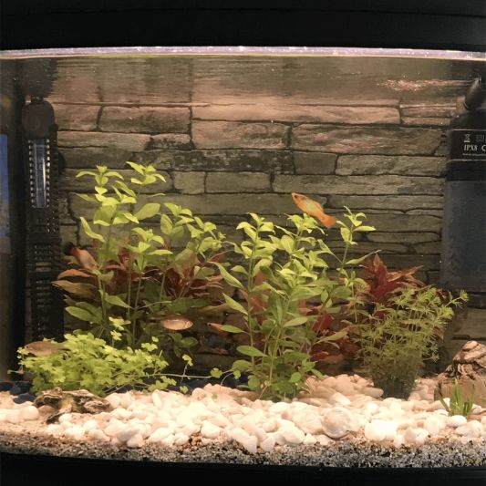 1,5 bis 2 Meter Warmweiß komplettes Set Aquarium LED Streifen