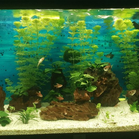 1,5 bis 2 Meter Aquarium LED Streifen Warmweiß