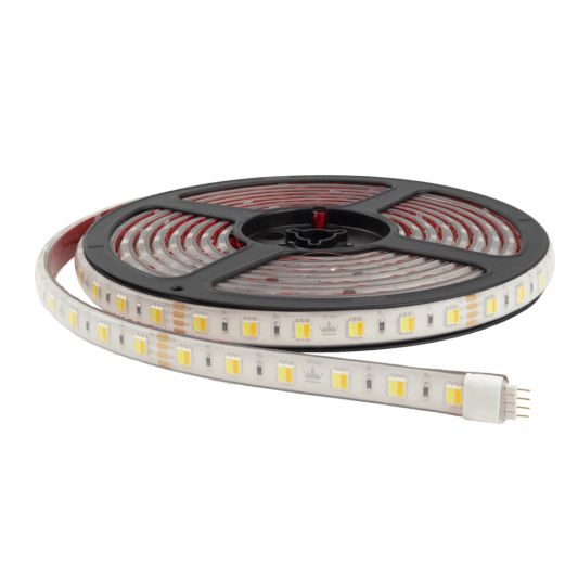 6 Meter Dual White LED Streifen Premium mit 60+60 LEDs | Einzelner Streifen