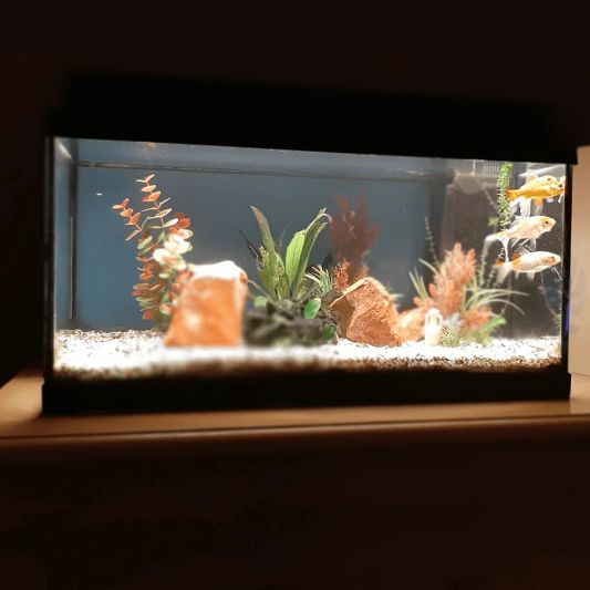 100 bis 150 cm Warmweiß komplettes Set Aquarium LED Streifen