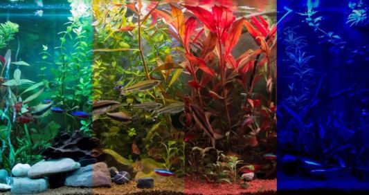 100 bis 150 cm - RGB komplettes Set Aquarium LED Streifen