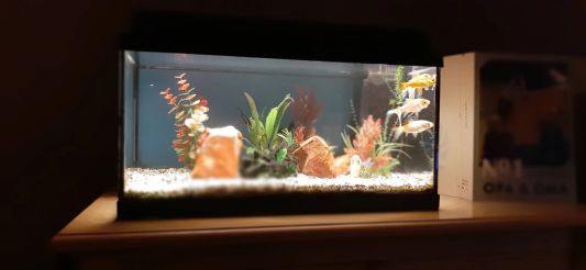 1,5 bis 2 Meter Aquarium LED Streifen Warmweiß