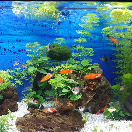 2,5 bis 5 meter aquarium LED Streifen Tageslichtweiß