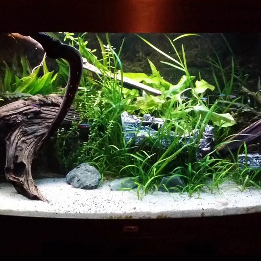 2,5 bis 5 meter aquarium LED Streifen Tageslichtweiß