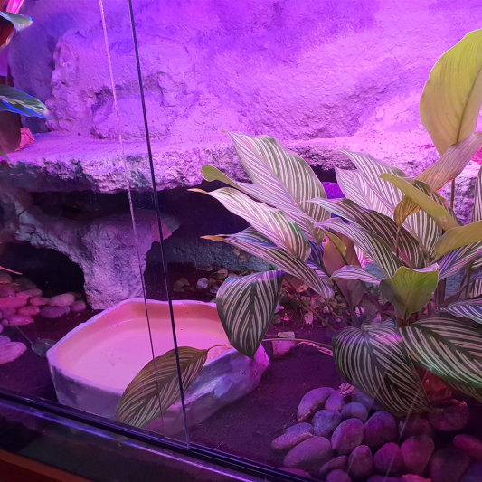 2,5 bis 5 meter - RGB aquarium LED strip