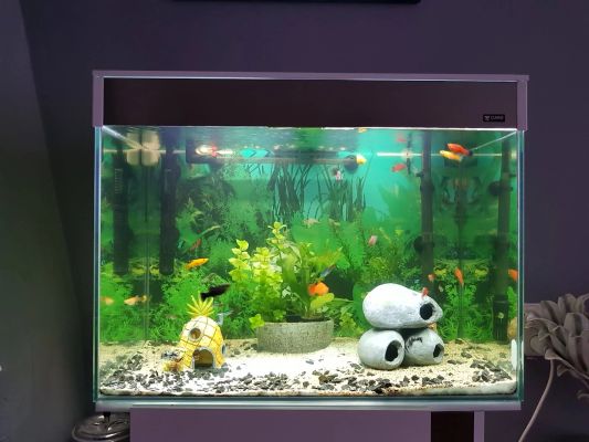 2 bis 2,5 Meter Aquarium LED Streifen Kaltweiß