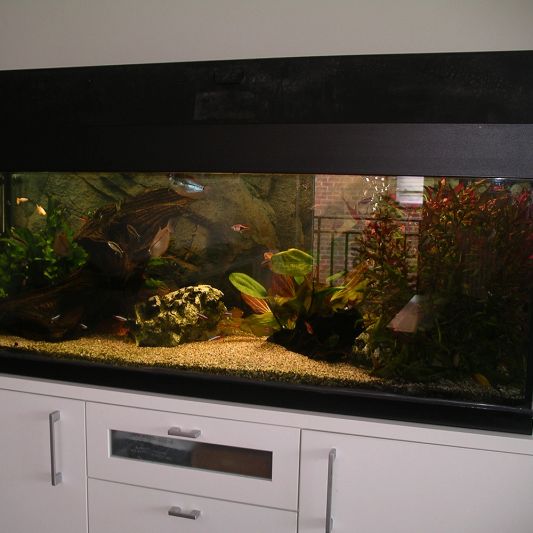 2 bis 2,5 Meter Aquarium LED Streifen Warmweiß