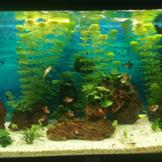 2 bis 2,5 Meter Aquarium LED Streifen Warmweiß