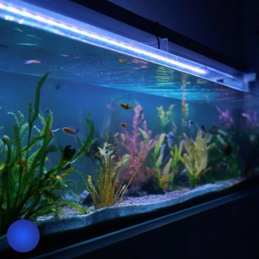 2,5 bis 5 Meter Aquarium LED Streifen Blau
