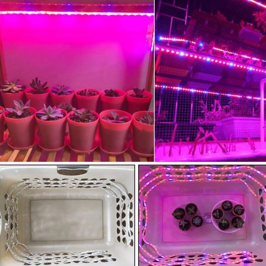 5 Meter wachsender LED Streifen IP65/67 24V - R:W:R:B=2:1:2:1 - 120 Leds p/m