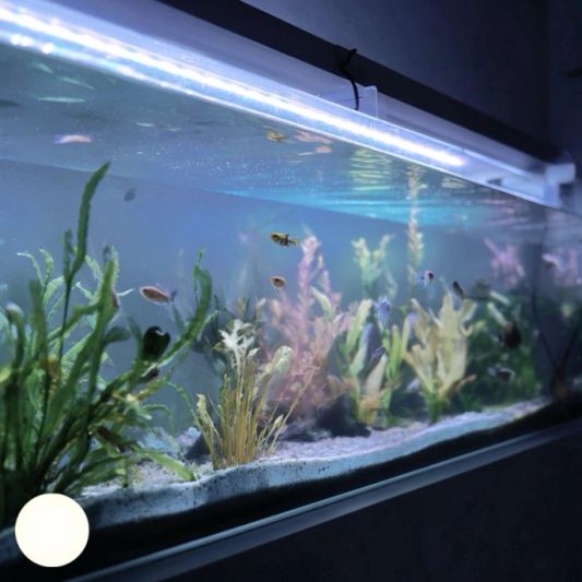 50 bis 70 cm Aquarium LED Streifen Kaltweiß