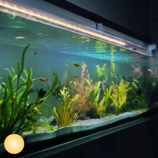 50 bis 70 cm Aquarium LED Streifen Warmweiß