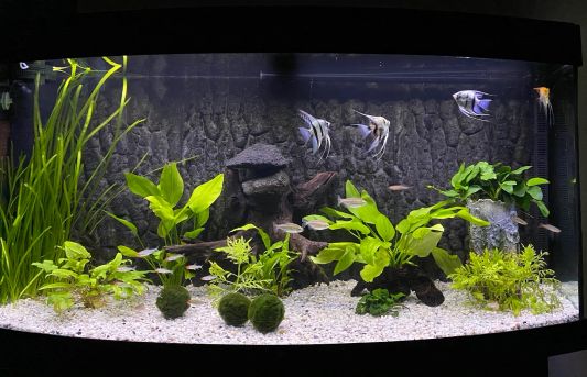 50 bis 70 cm Neutralweiß komplettes Set Aquarium LED Streifen