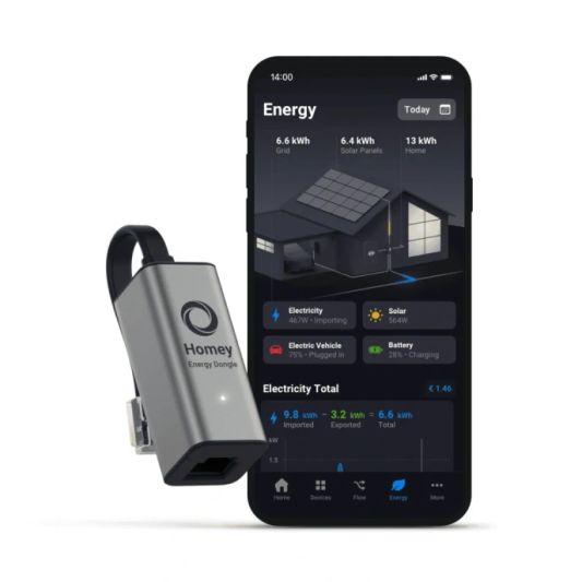 Homey Energy Dongle