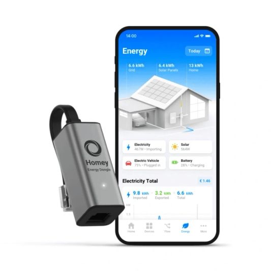 Homey Energy Dongle