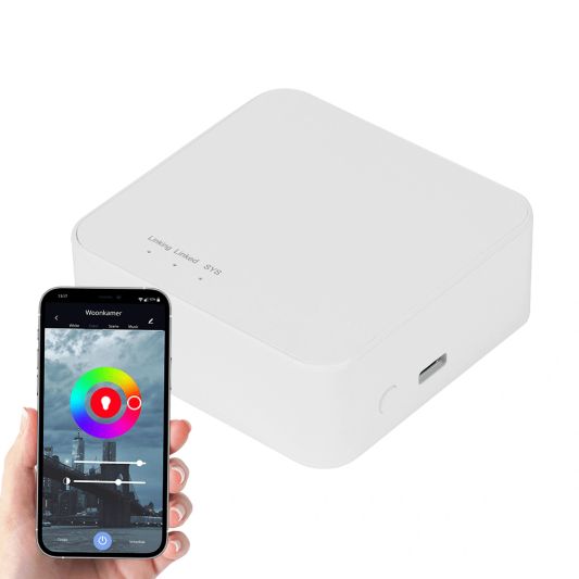 Hub für Smart Devices - arbeitet mit der Smart Life -App zusammen