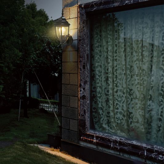 Klassische schwarze Wandleuchte für den Außenbereich mit E27 Zigbee LED Glühbirne