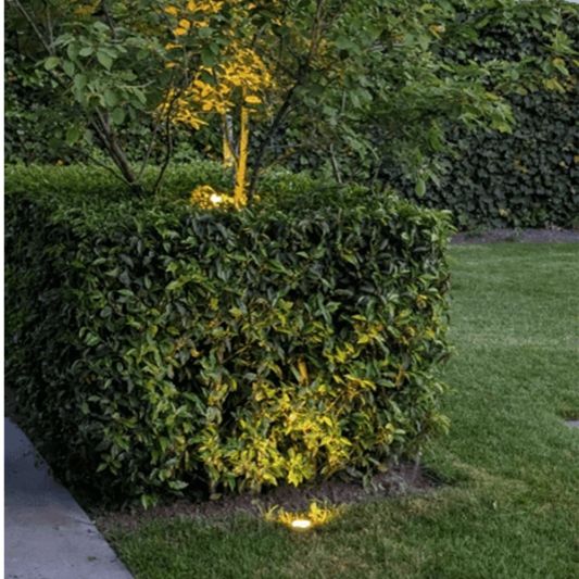 Smart ZigBee gebaut - im Erdgeschoss 9W Law - Starterset