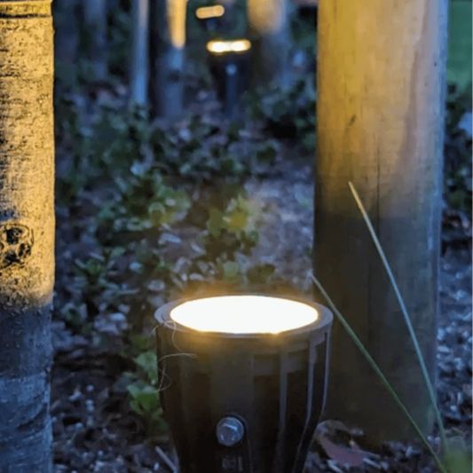 Smart Zigbee PrikGlühbirne 6W - Starterset