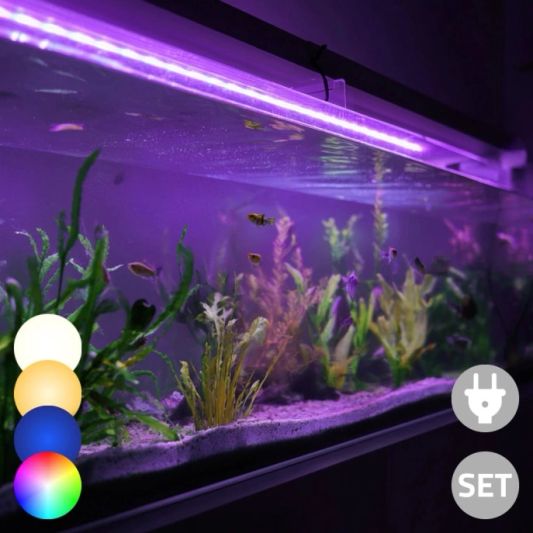 Time Steuerung Set 'Advanced' < 200cm