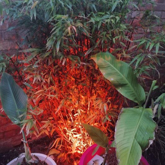 WLAN LED Gartenstrahler mit RGBWW Farben 9 Watt