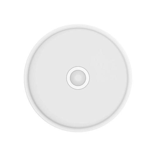 Yeelight smarte Deckenlampe Mini 10W – Tageslichtweißes Licht