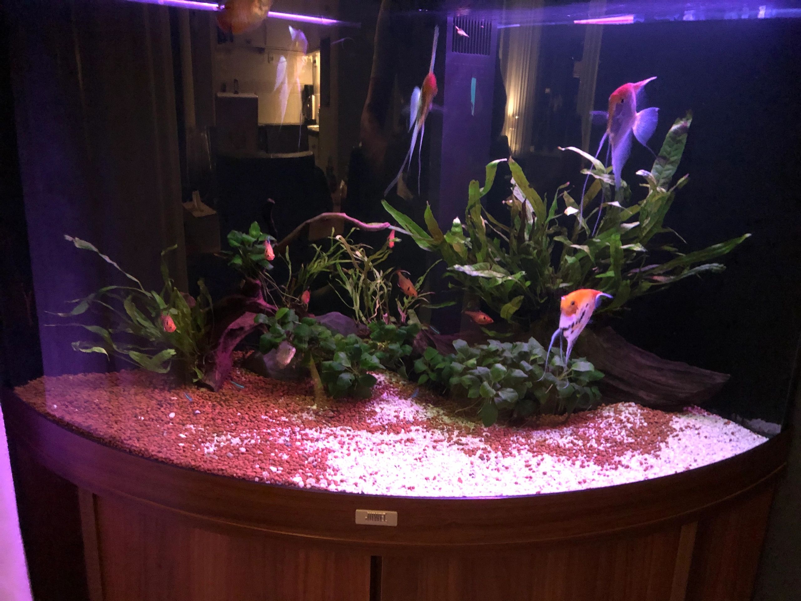 RGB LED Streifen einfarbiger Streifen 50 - 70 cm komplettes Set