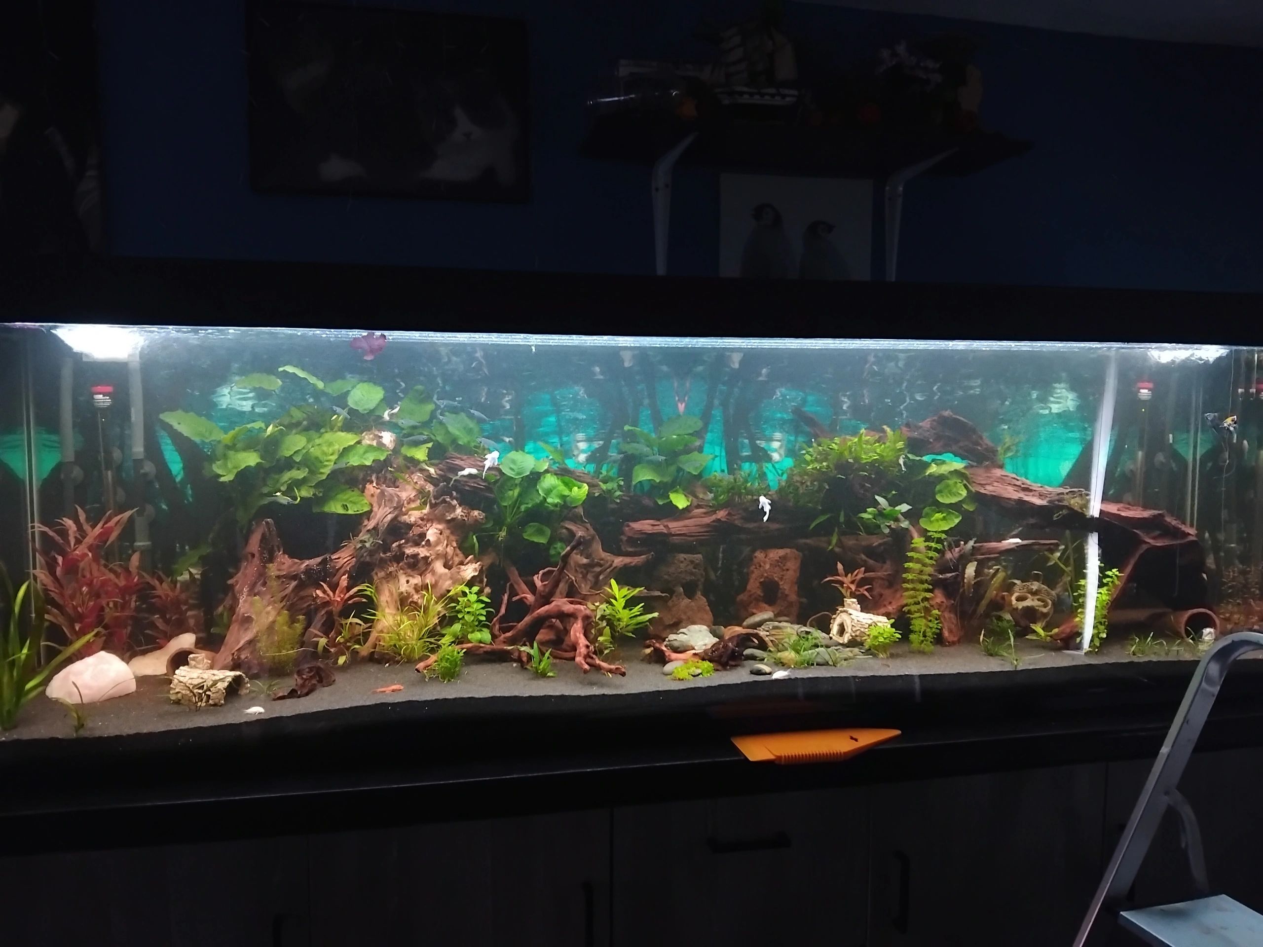 50 bis 70 cm Aquarium LED Streifen Kaltweiß