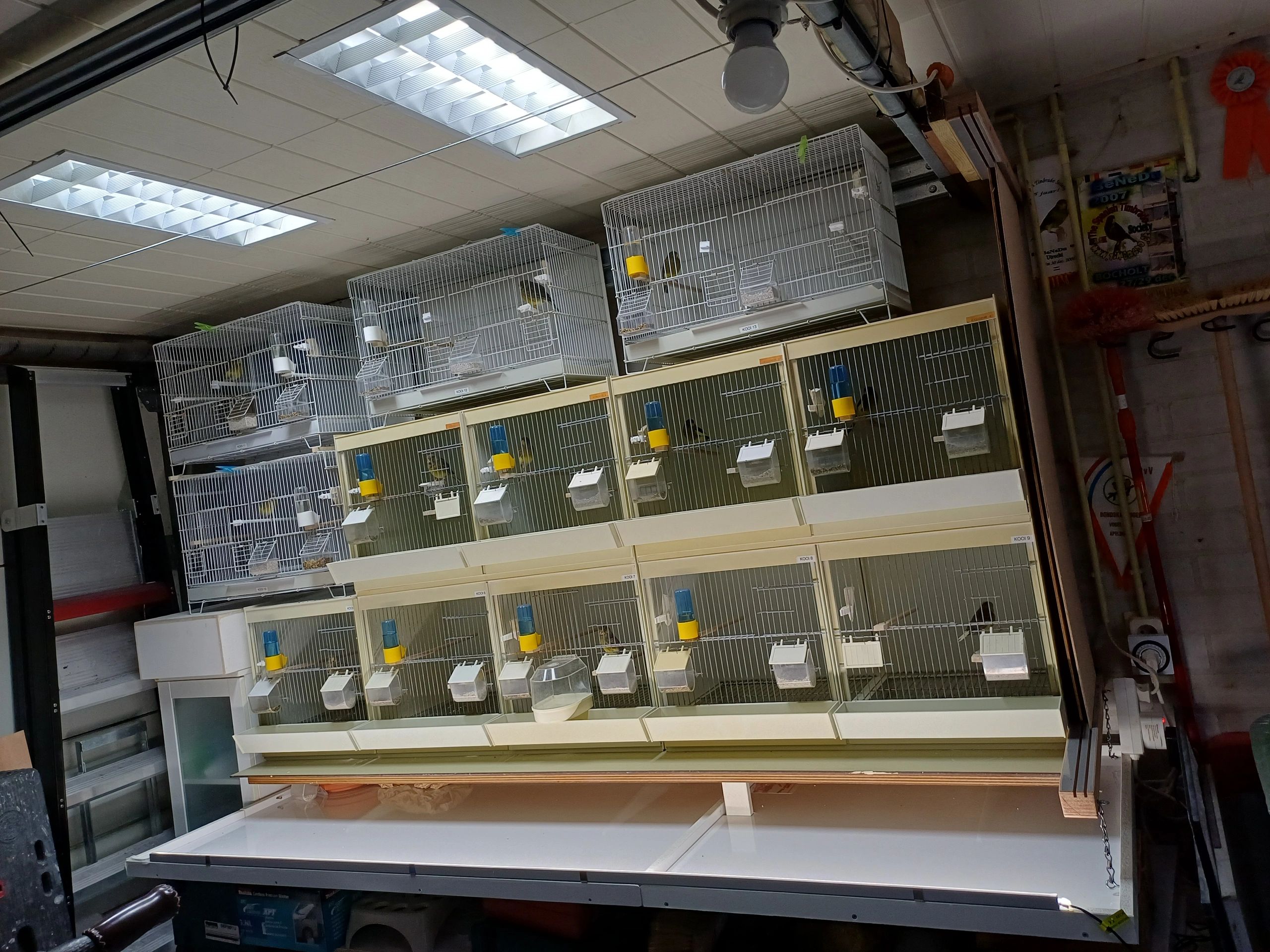 3 Meter LED Streifen Kaltweiß - 360 Led's