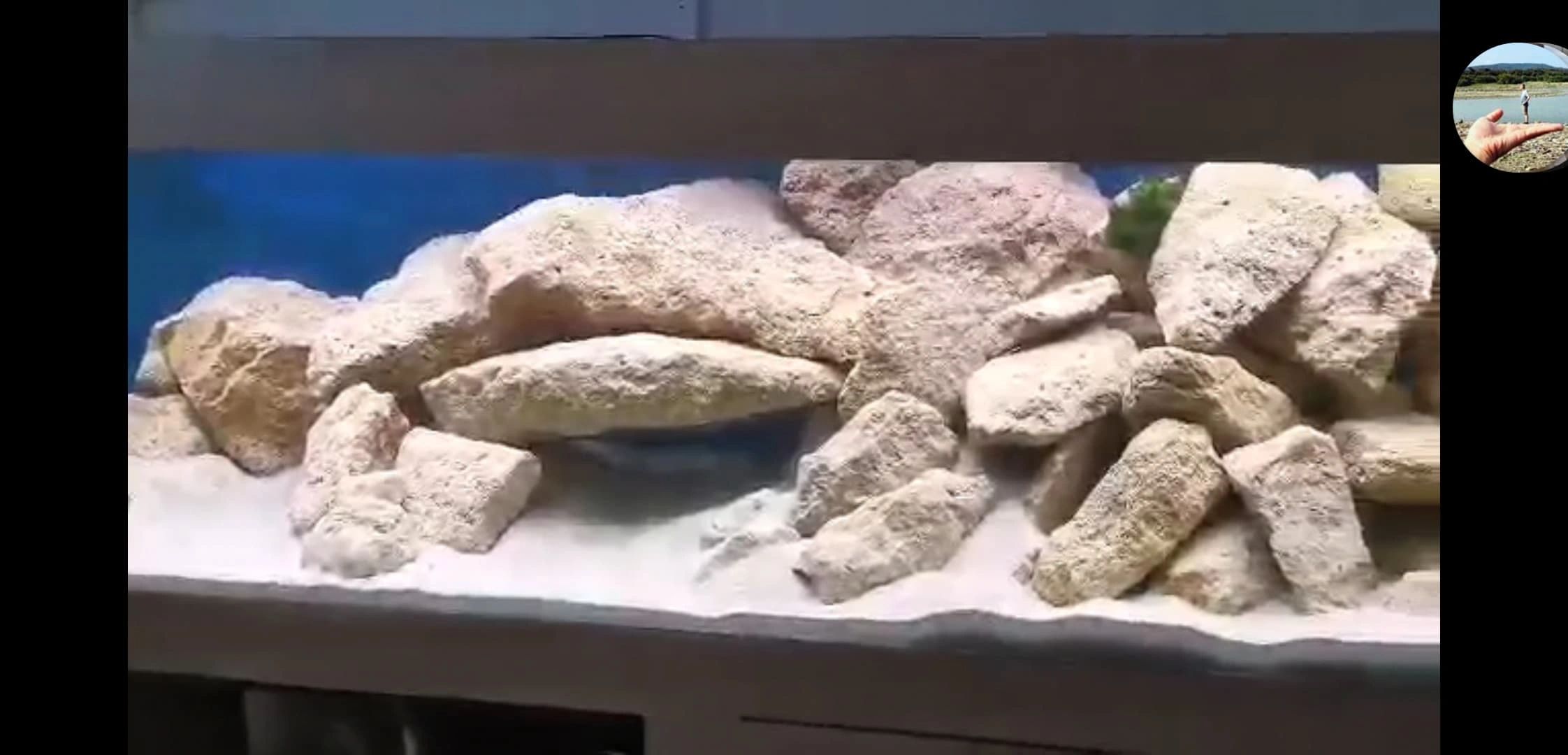 5 meter Dual White LED Streifen Premium mit 600 Led's - einzelne streifen