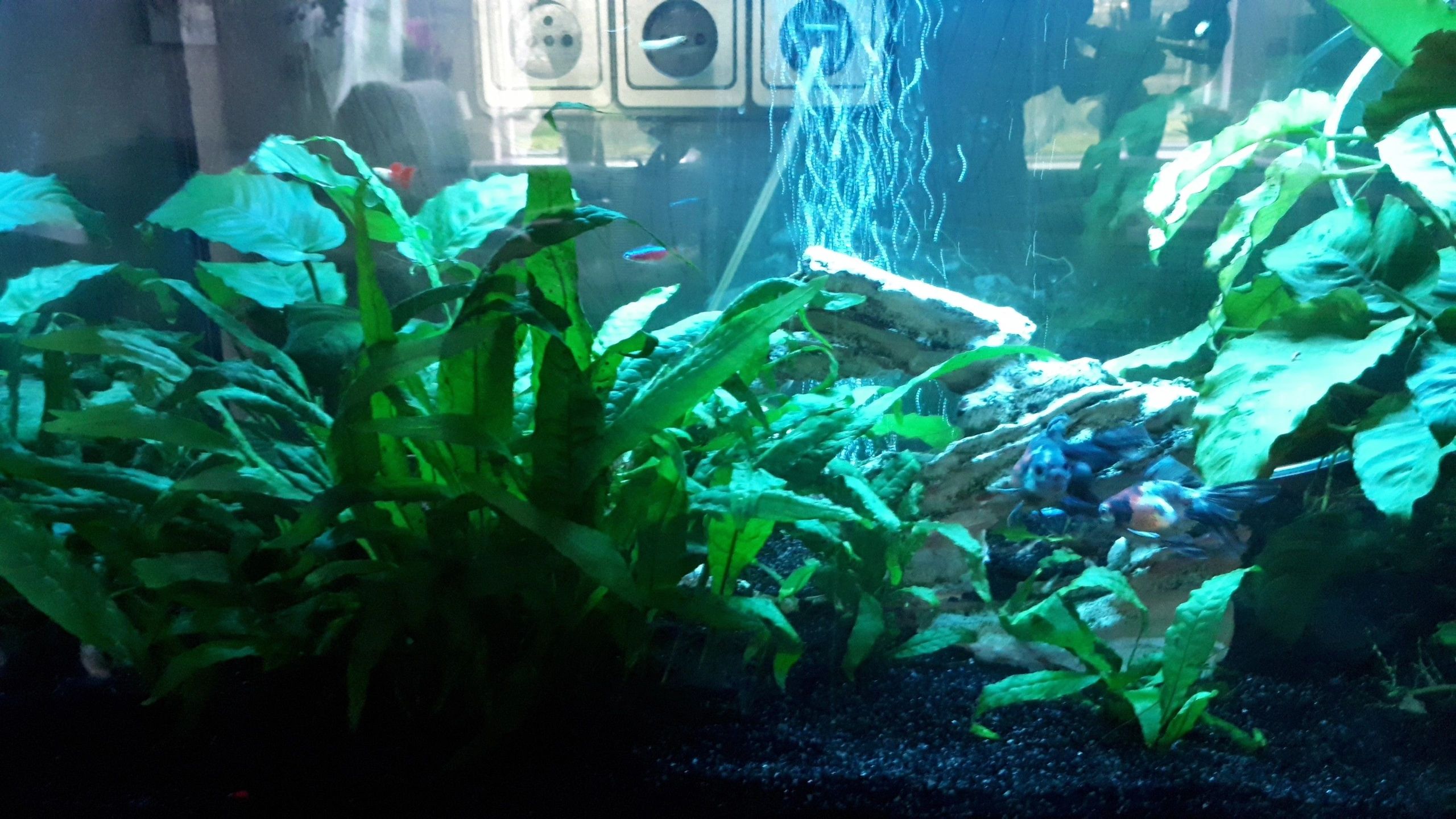 RGB LED Streifen einfarbiger Streifen 50 - 70 cm komplettes Set