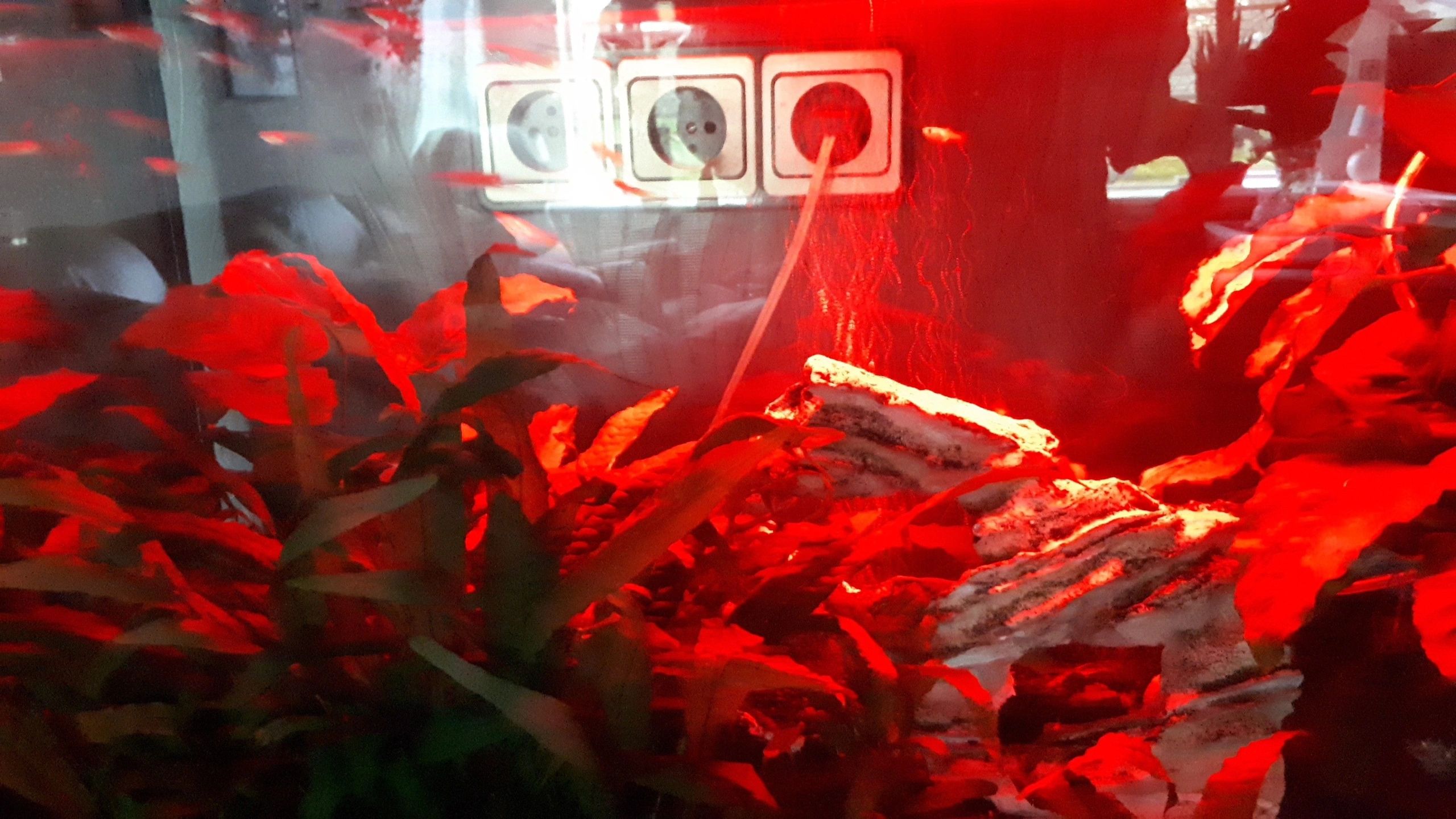 RGB LED Streifen einfarbiger Streifen 50 - 70 cm komplettes Set