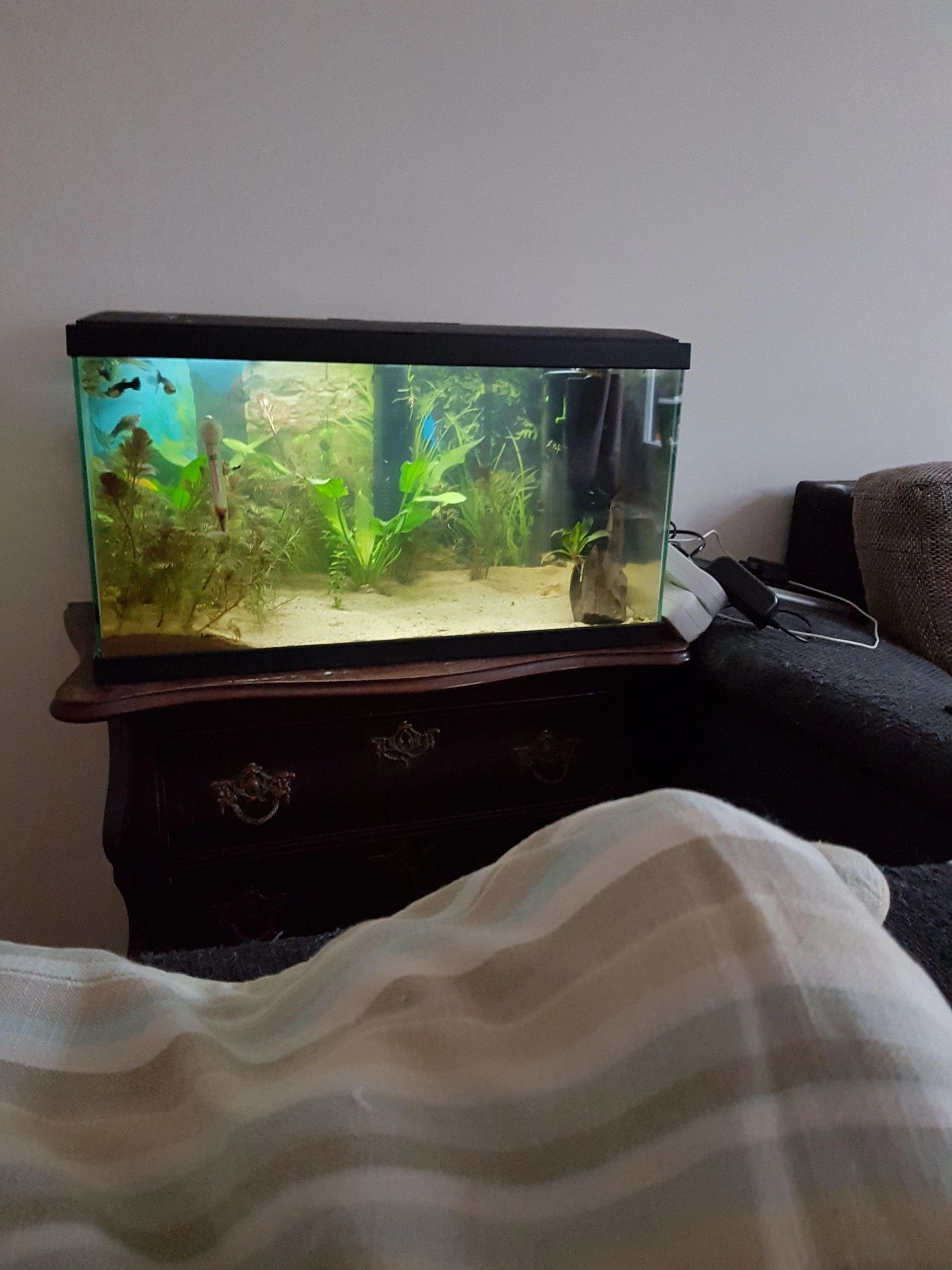 RGB LED Streifen einfarbiger Streifen 50 - 70 cm komplettes Set