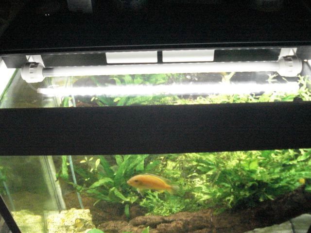 70 bis 100 cm Neutralweiß komplettes Set Aquarium LED Streifen