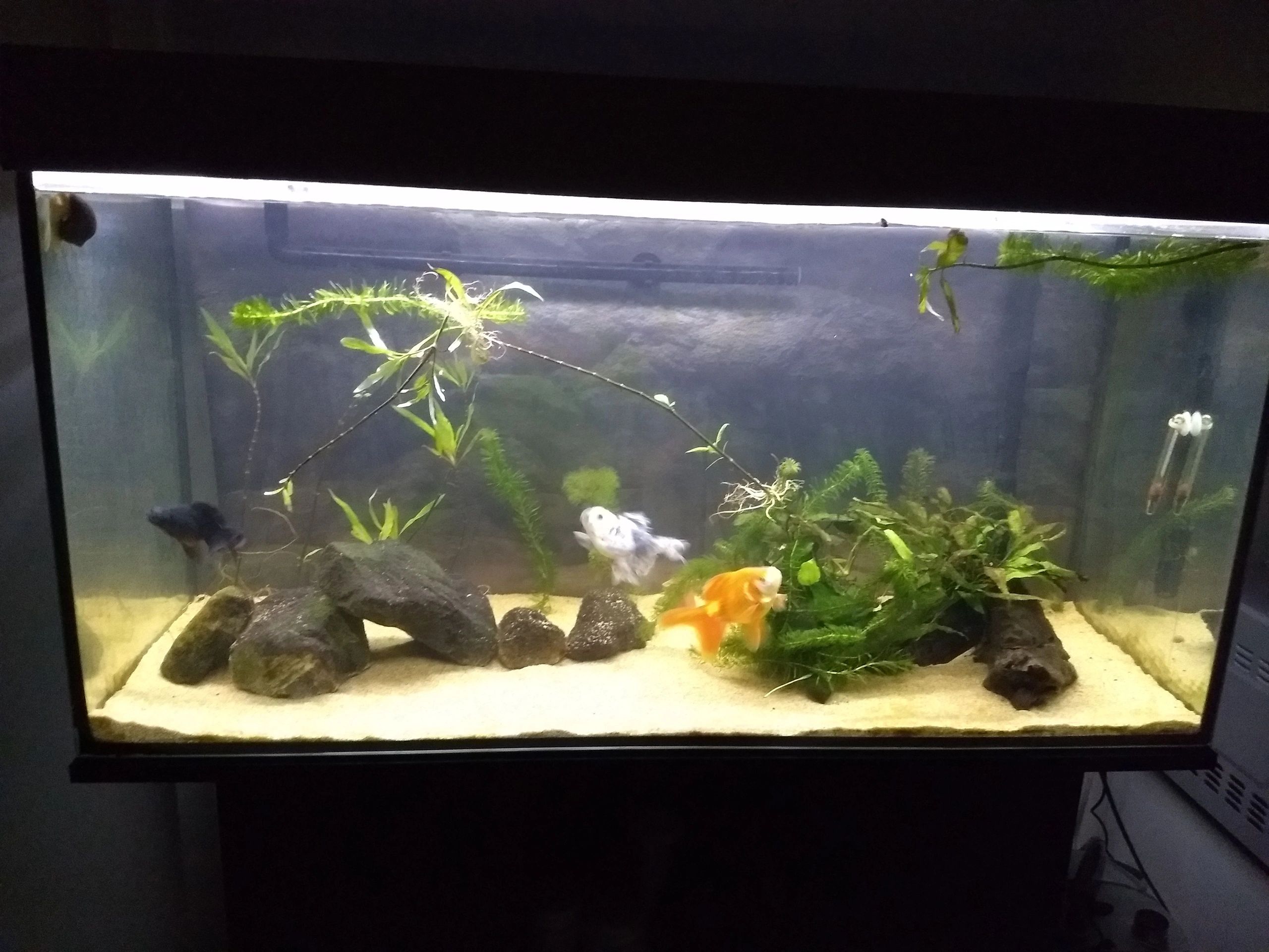 5m 360 leds komplettset led streifen kaltweiss