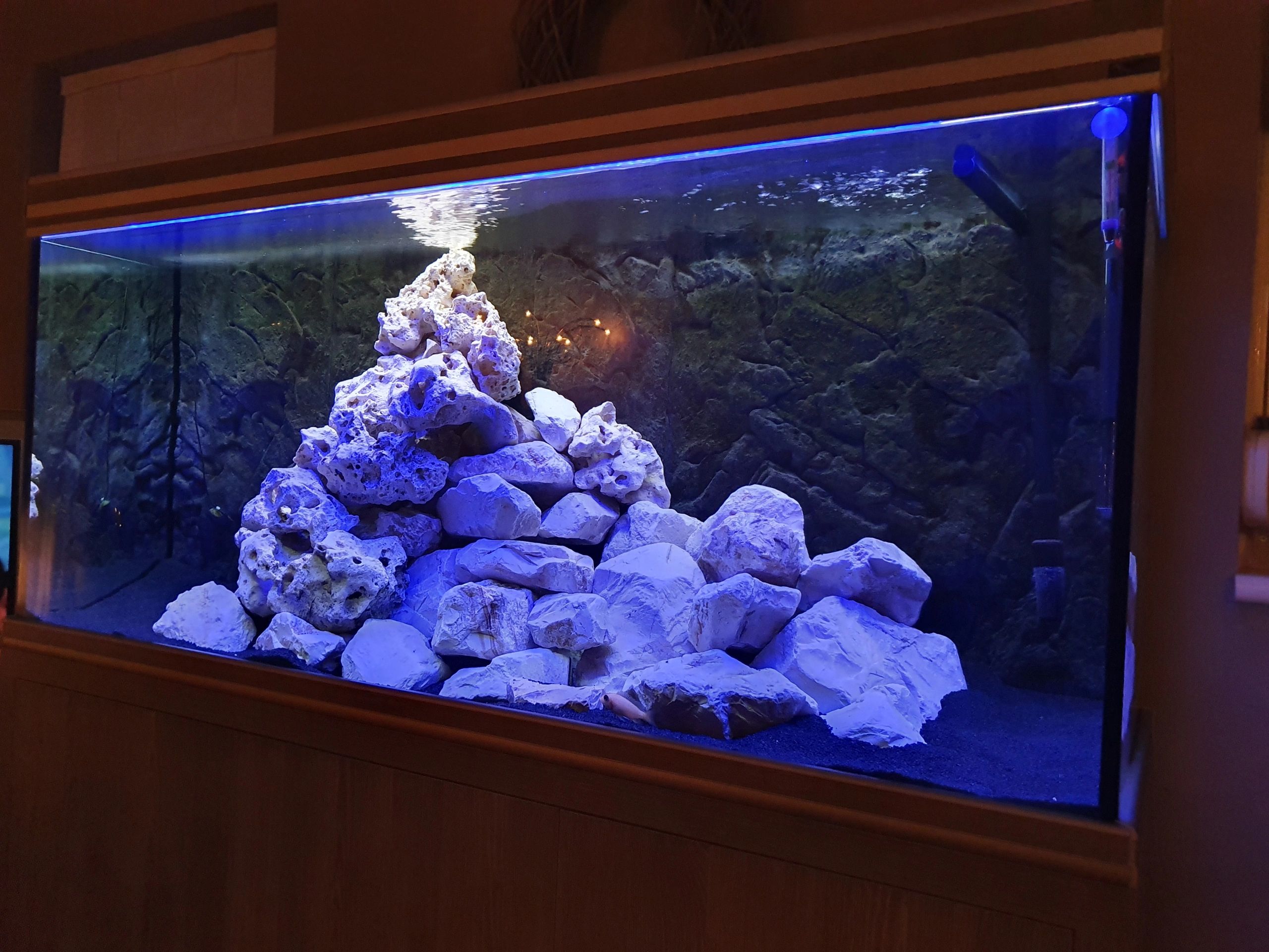 2 bis 2,5 Meter Blau komplettes Set Aquarium LED Streifen