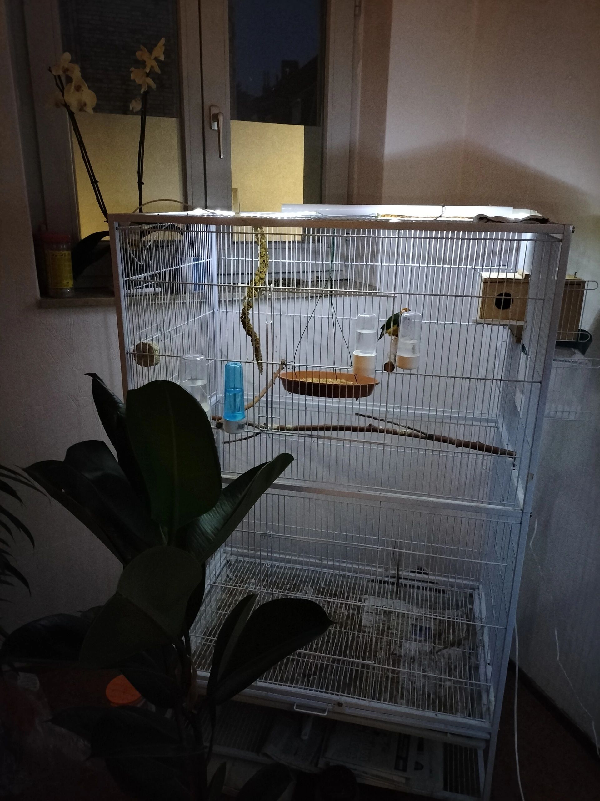 20W - 12V Professioneller kompakter LED Driver