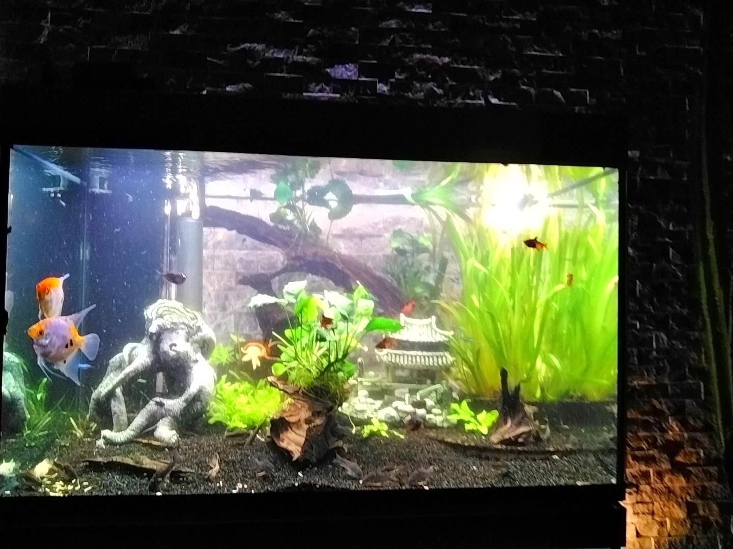 10 Meter LED Flex Dual White Midi Top View - komplettes Set Beleuchtung