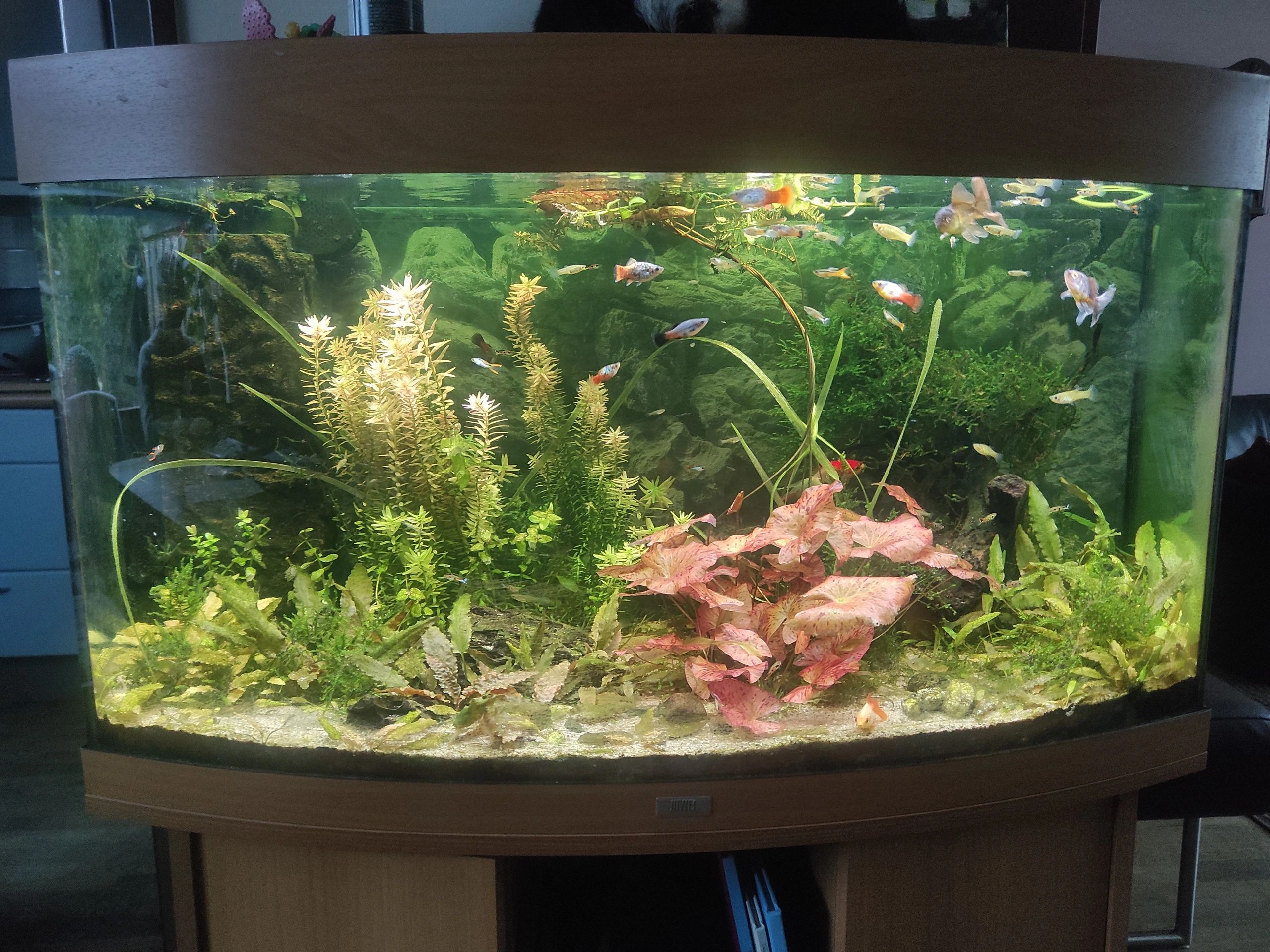 RGB LED Streifen einfarbiger Streifen 50 - 70 cm komplettes Set