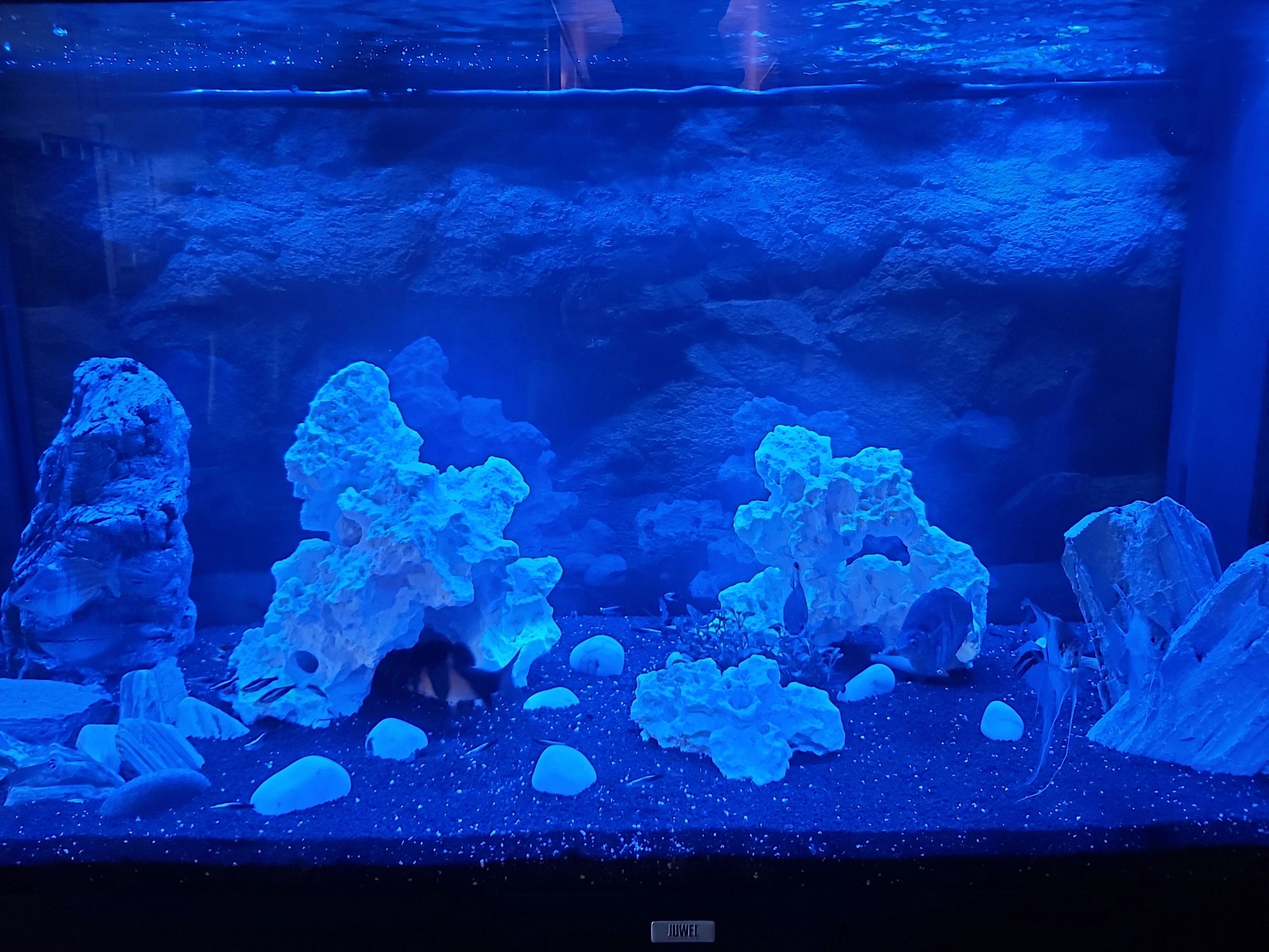 2 bis 2,5 Meter Blau komplettes Set Aquarium LED Streifen