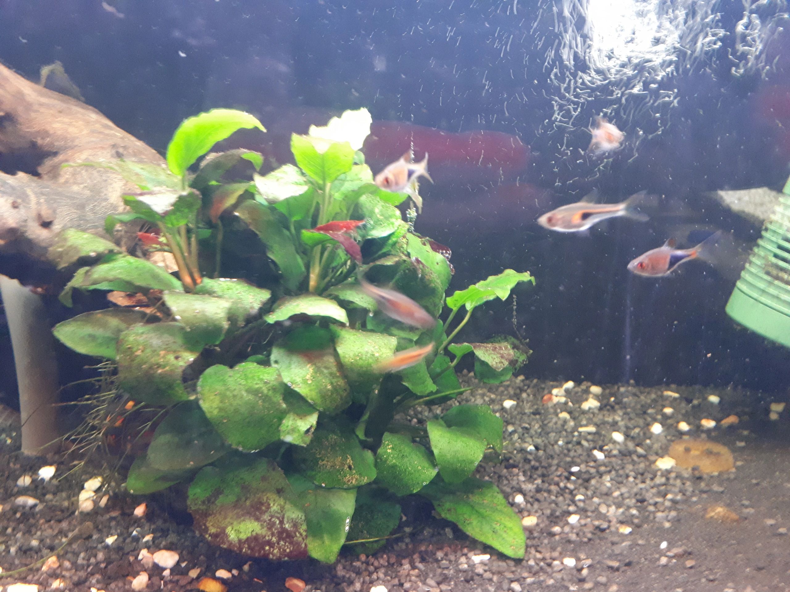 2,5 bis 5 Meter RGB komplettes Set Aquarium LED Streifen