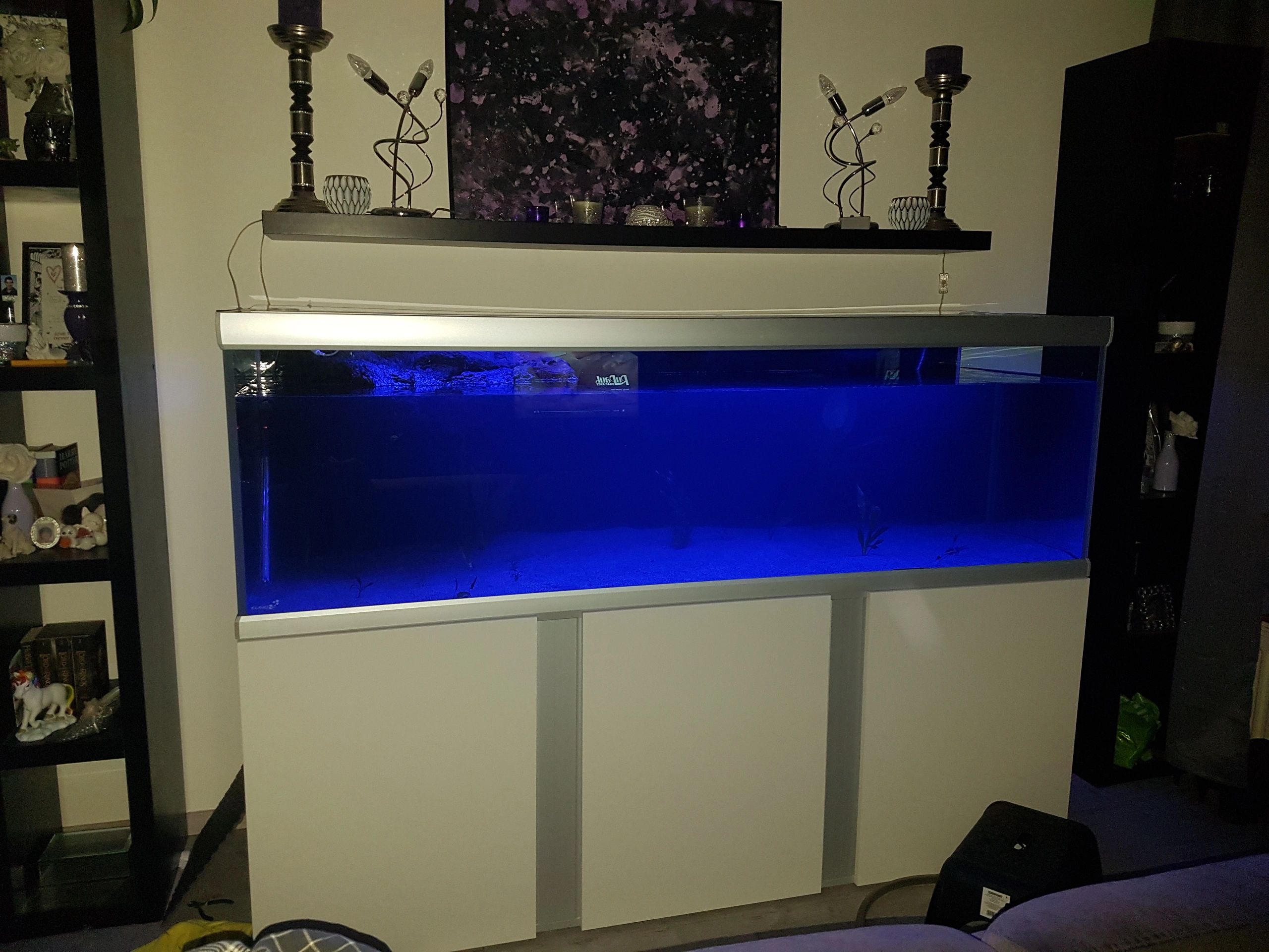 Time Steuerung Set 'Advanced' < 70cm