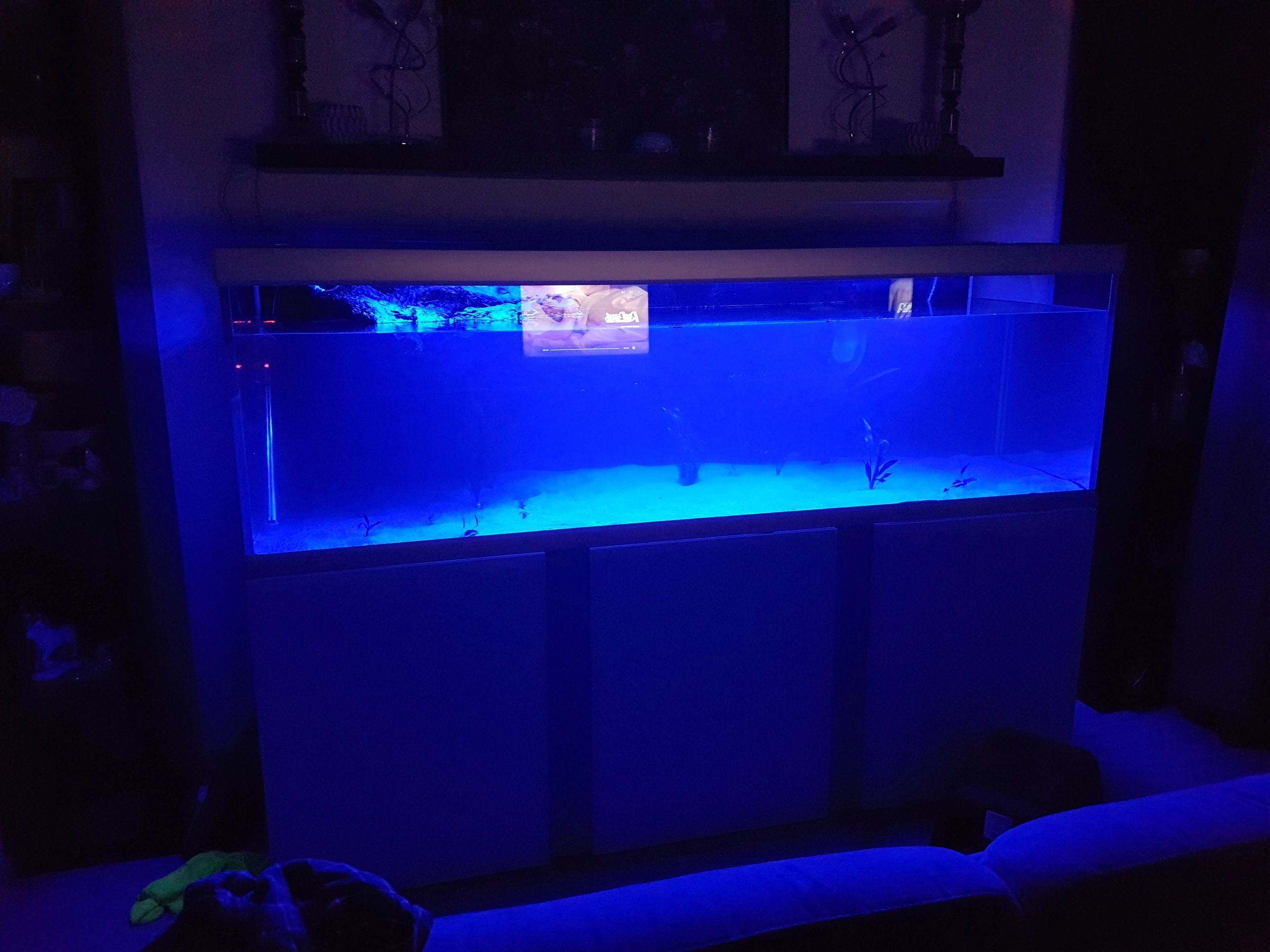 Time Steuerung Set 'Advanced' < 70cm