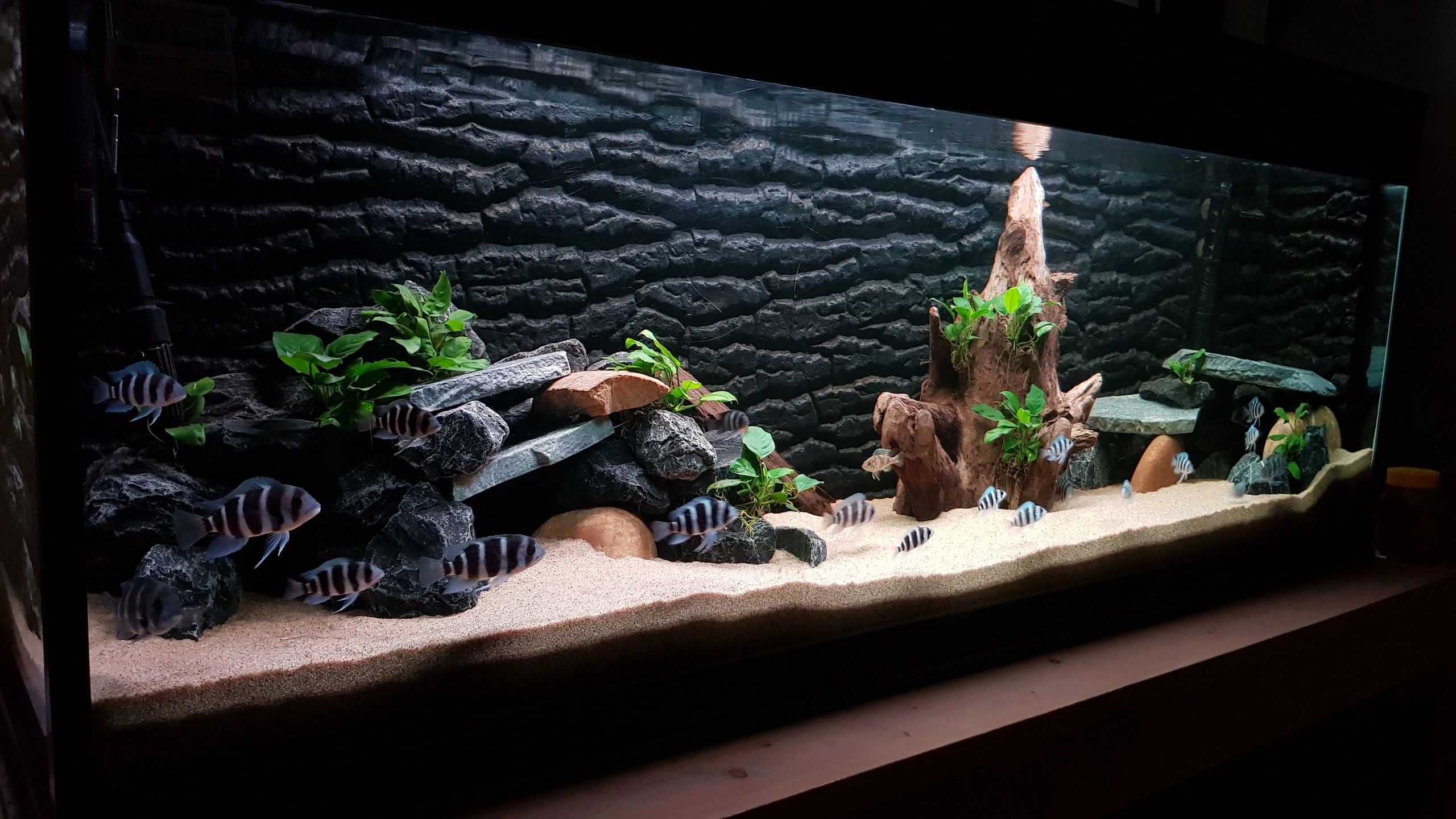 70 bis 100 cm Neutralweiß komplettes Set Aquarium LED Streifen