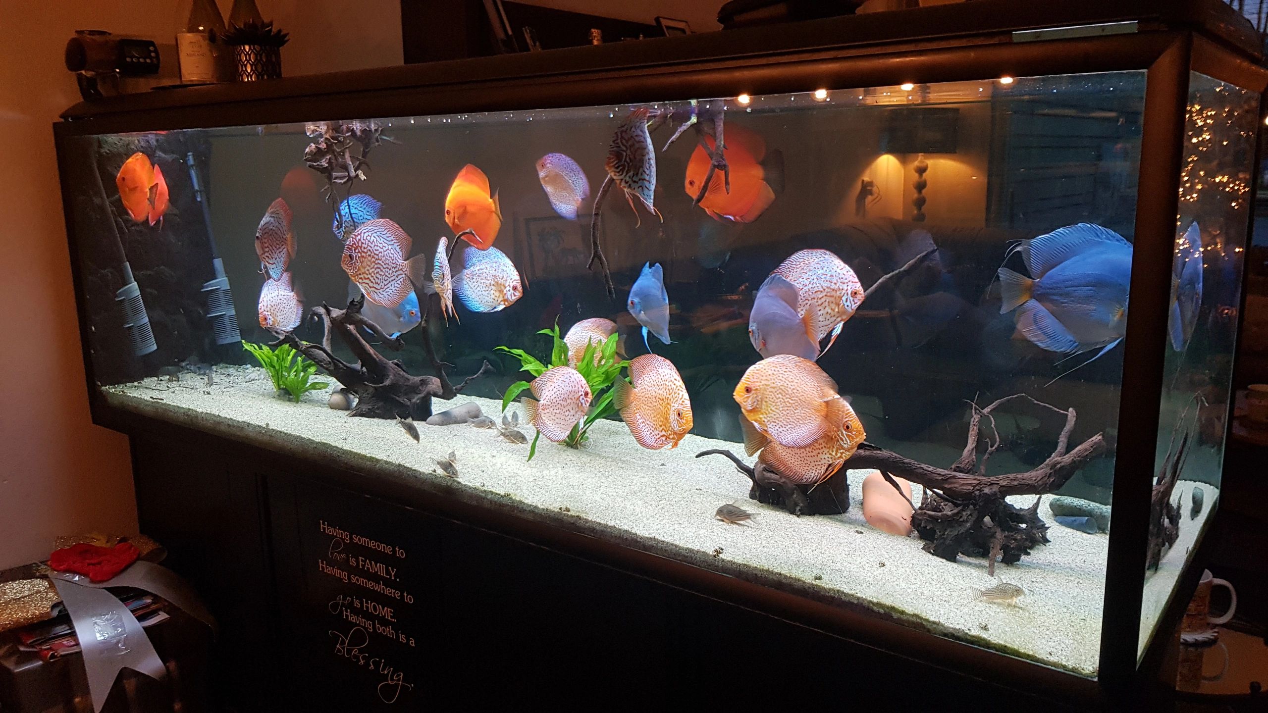 2 bis 2,5 Meter Aquarium LED Streifen Kaltweiß