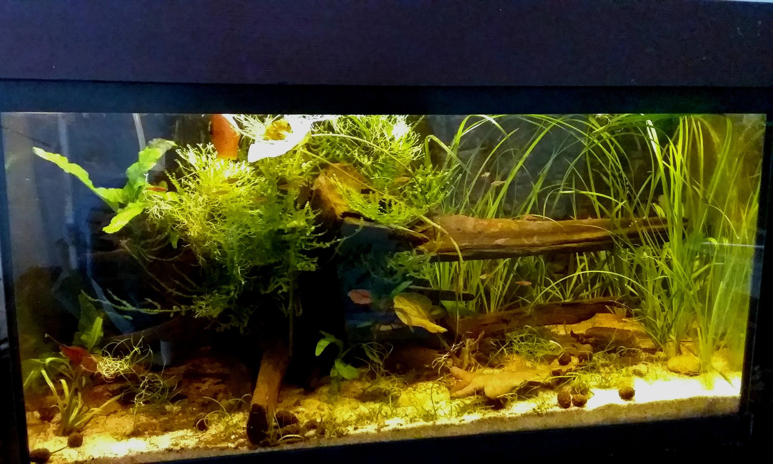 RGB LED Streifen einfarbiger Streifen 50 - 70 cm komplettes Set