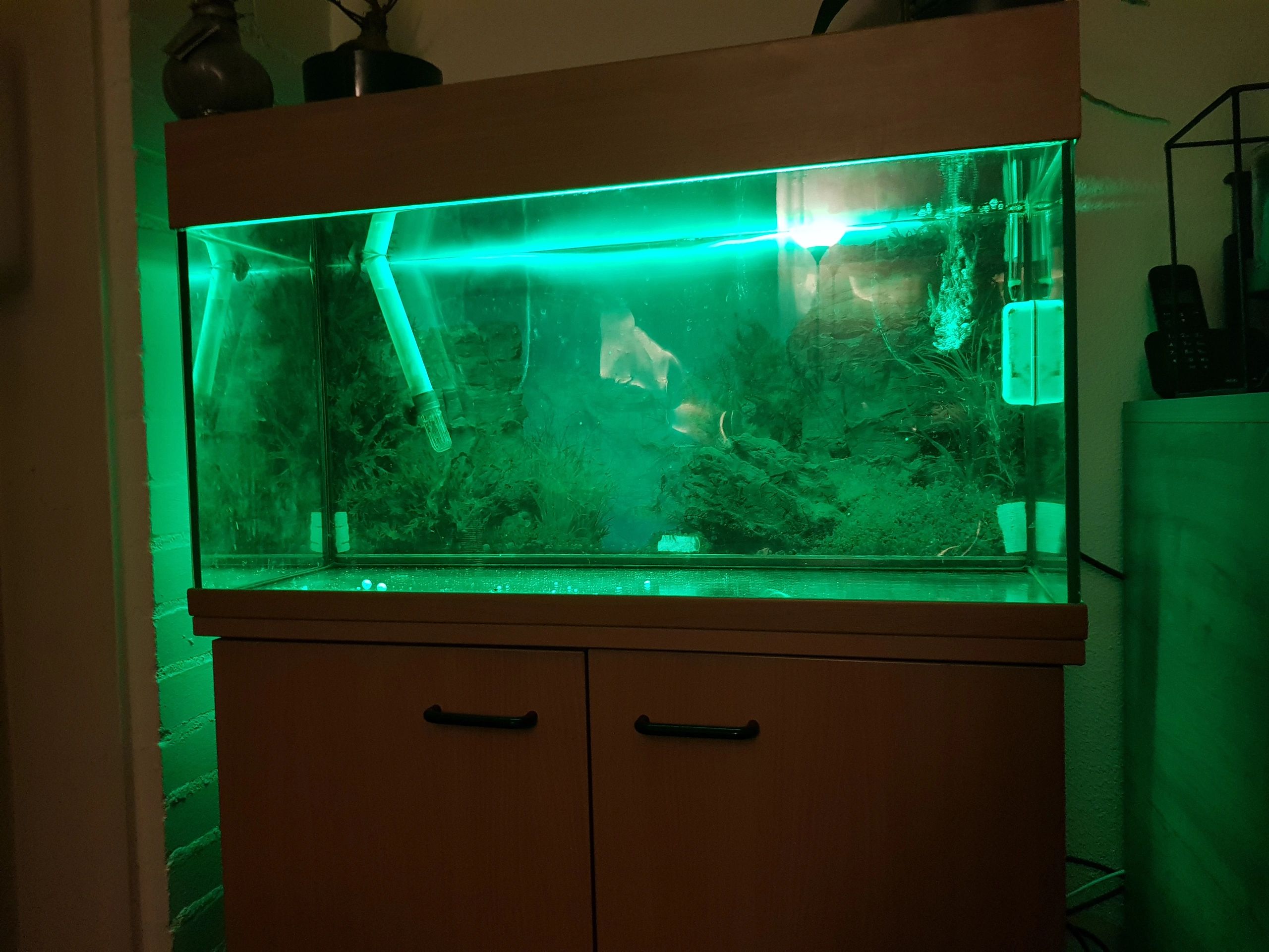 2,5 bis 5 Meter RGB komplettes Set Aquarium LED Streifen