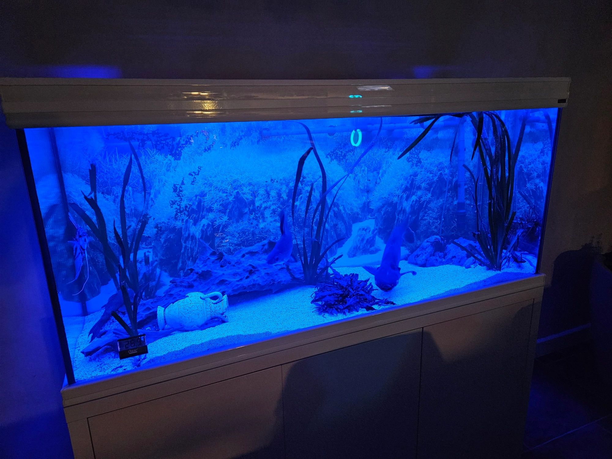 3 x RGB LED Streifen: 50 - 70 cm komplettes Set