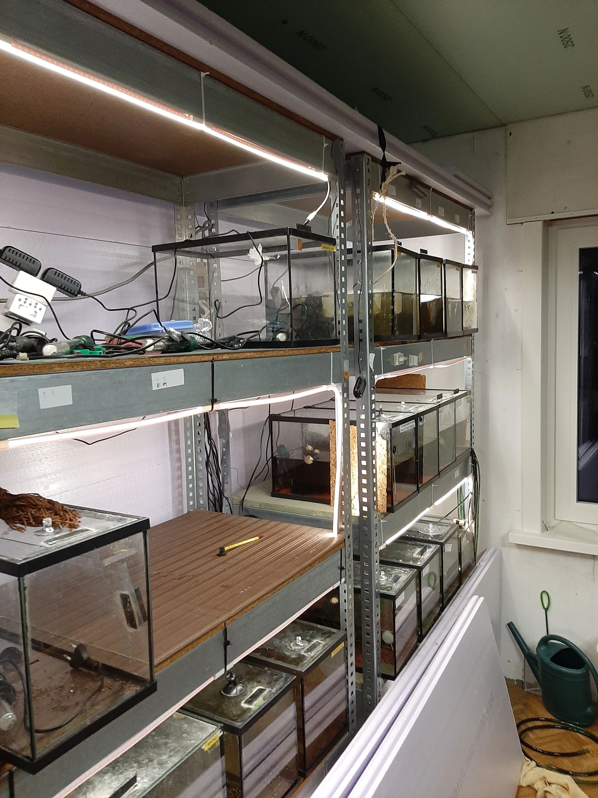 24 Watt - 24 V / 1A -Adapter für LED -Streifen